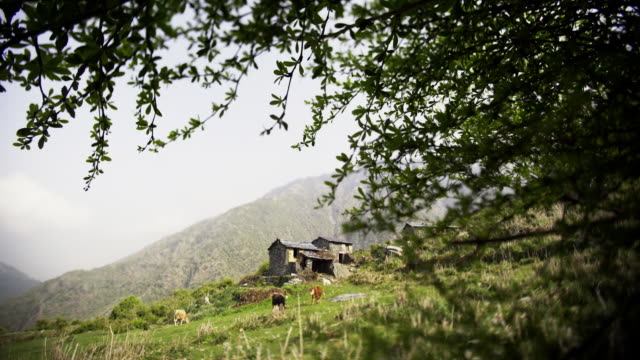 Rural-landscape-with-village-and-grazing-cows-in-mountains