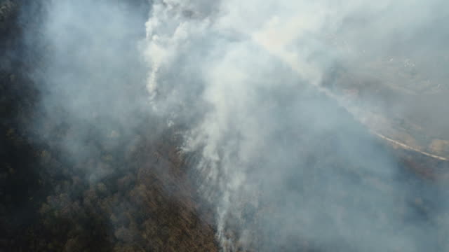 Aerial-moving-footage-of-fire-smoldering-in-the-woods