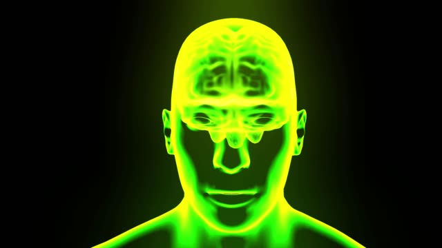 Gehirn-Hologramm-mit-Kopf-drehen-Schleife-4k