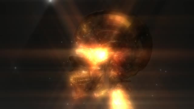 Human-Skull-Animation