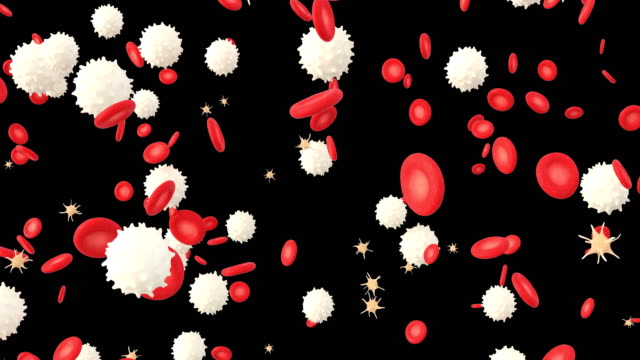 3D-Animation-des-Blutes-mit-roten-Blutkörperchen,-weißen-Blutkörperchen-und-Thrombozyten