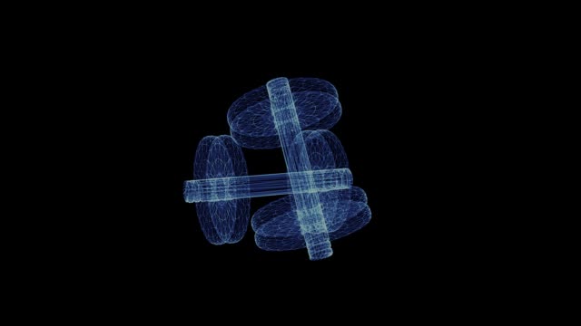 Hologram-of-rotating-dumbbells