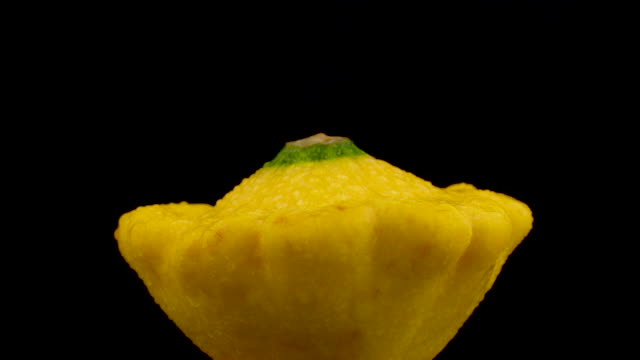 One-yellow-pattypan-squash-with-water-drops.-Rotating-on-the-turntable.-Isolated-on-the-black-background.-Close-up.-Macro.