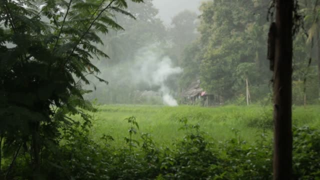 Handheld-Aufnahmen-von-einem-kleinen-Lagerfeuer-ausgelöscht-durch-einen-tropischen-Regen-Sturm-im-Norden-Thailands,-Mae-Hong-Son,-während-der-Regenzeit