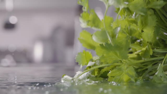 Falling-of-coriander-into-the-wet-table.-Slow-motion-480-fps
