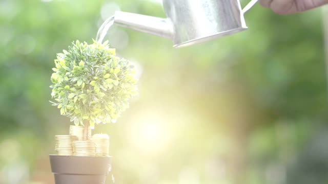 Geschäftsmann-Bewässerung-Baum-und-Geld-gold-Münze-mit-kann.-Wachstum,-Investitionen,-Gewinn-Geschäftskonzept.-Video-Zeitlupe