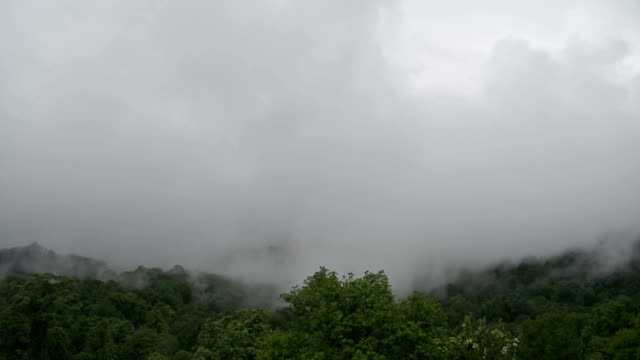 Tropischen-Regenwald-während-der-Monsun-Regenzeit