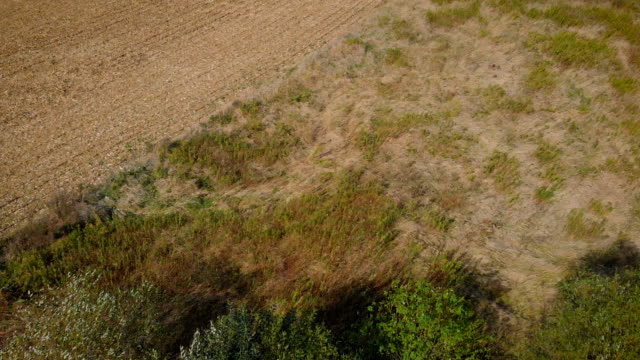 verlassene-Hausruine-(Luftbild)