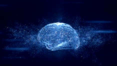 Digital-Brain-Hologram