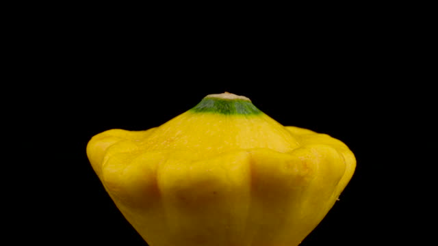 One-whole-yellow-patisson-squash.-Slowly-rotating-on-the-turntable.-Isolated-on-the-black-background.-Close-up.-Macro.