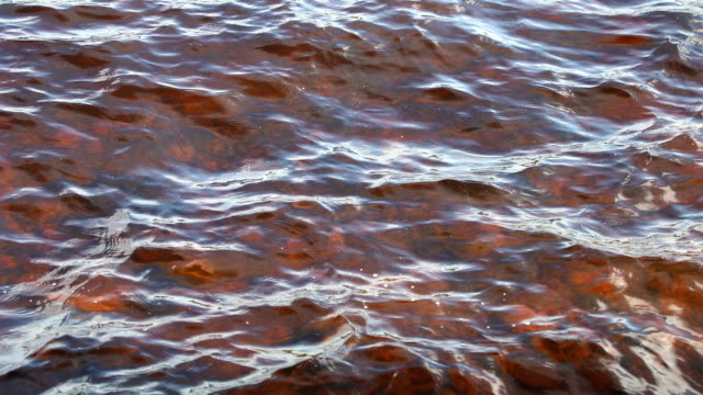 La-superficie-del-lago-con-agua-limpia,-Suecia