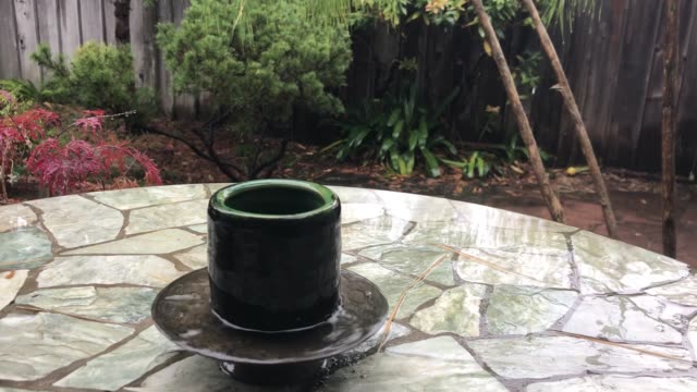 cup-in-the-rain