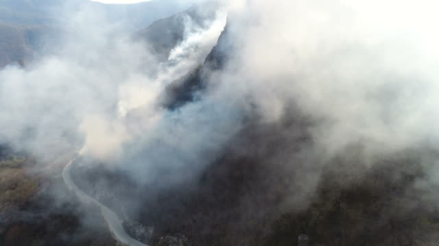 Aerial-footage-of-the-woods-covered-in-thick-smoke,-the-camera-is-going-through-the-smoke