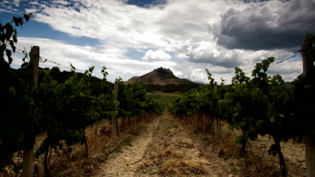 Cloudy-timelapse-over-the-mountain-and-vineyard-at-summer-day