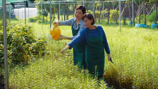 Frauen,-die-Bewässerung-von-Pflanzen