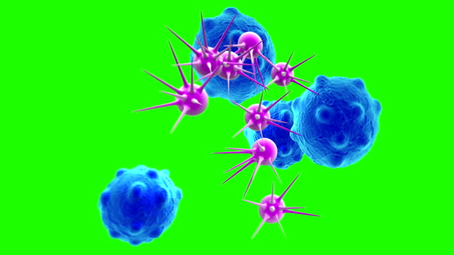 animación---las-células-cancerosas-con-altos-detalles-en-pantalla-verde