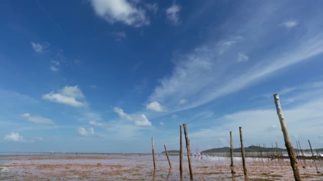 Clouds-in-sunny-day-,low-angle-view-time-lapse-.