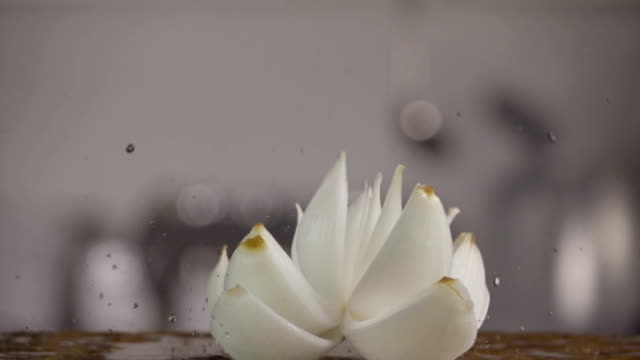Falling-of-white-onion-into-the-wet-table.-Slow-motion-240-fps