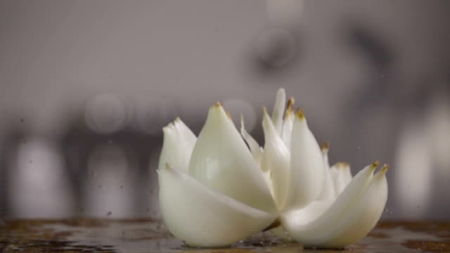 Falling-of-white-onion-into-the-wet-table.-Slow-motion-480-fps