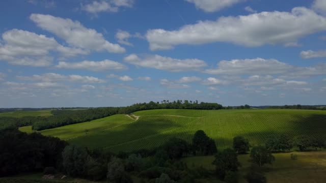 Vista-aérea-hermoso-paisaje-viñedo-de-Burdeos-al-amanecer,-película-de-zángano-en-verano