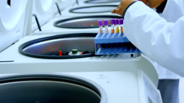 Laboratory-technician-placing-blood-samples-in-centrifuge-4k