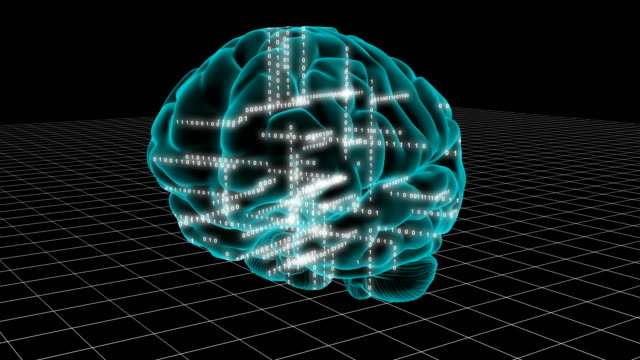 Human-brain-working-like-a-computer.