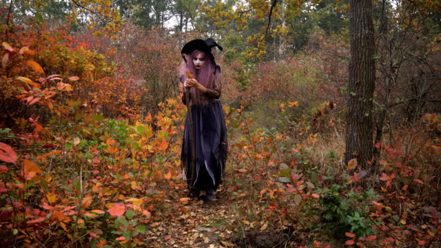 Junge-Rosa-Haare-Hexe-in-Hut-Suche-Reagenzien-in-den-mystischen-herbstlichen-Wald.-Halloween-Vorbereitung.