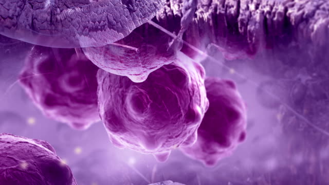 pan-and-zoom-camera---cancer-cells-with-high-details