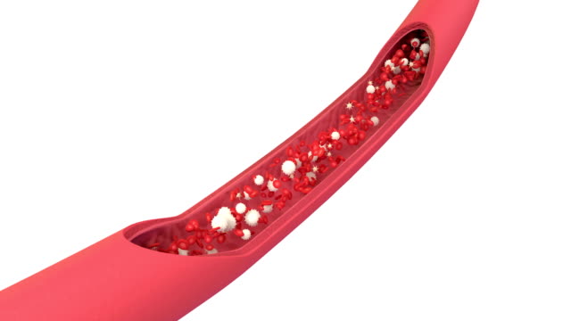 Animación-3D-de-un-torrente-sanguíneo-con-glóbulos-rojos-leucocitos-y-plaquetas