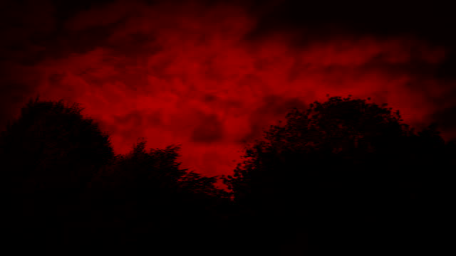 Waldgrenze-mit-roter-Himmel
