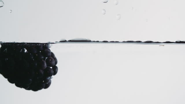 Ripe-Blackberry-Floating-Near-Water's-Surface