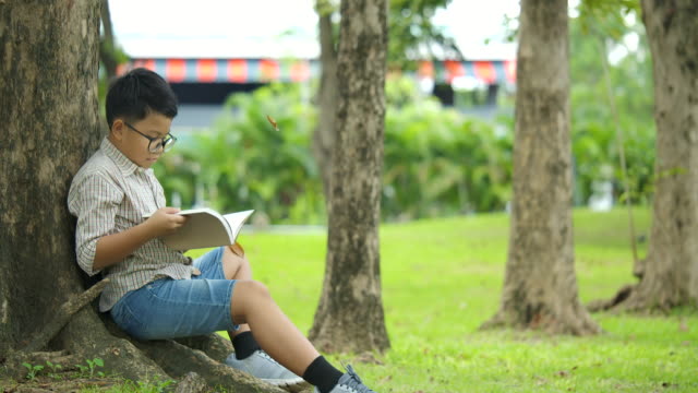 Little-boy-in-sits-under-the-tree-on-a-sunny-day-and-reads-a-book-with-leaves-falling-down-the-trees-in-slow-motion.