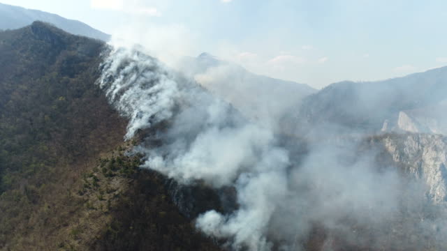 A-moving-aerial-shot-of-the-woods-covered-in-thick-smoke...