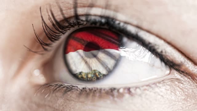 woman-green-eye-in-close-up-with-the-flag-of-Monaco-in-iris-with-wind-motion.-video-concept