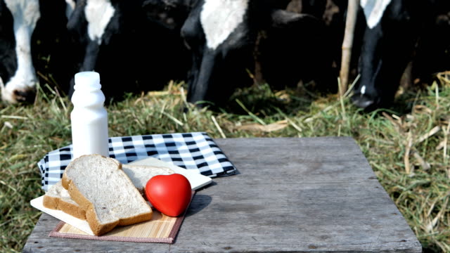 Hand-der-Person-halten-Glas-Milch-und-Brot-Frühstück-Morgen.-Hintergrund-der-Milchkühe-in-einem-Bauernhof.-Lebensmittel-und-gesunde-Milch-Konzept.-Slow-Motion