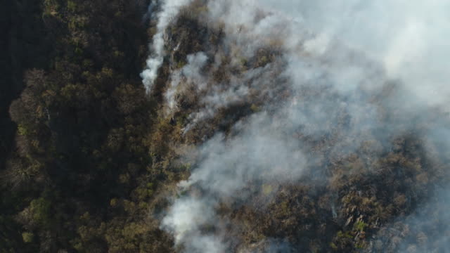 Aerial-moving-footage-of-fire-smoldering-in-the-woods