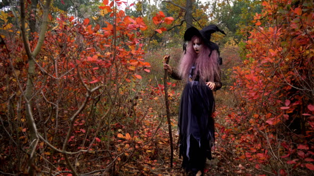 Young-pink-hair-witch-in-hat-walking-in-the-mystical-autumn-forest.-Halloween-preparation.