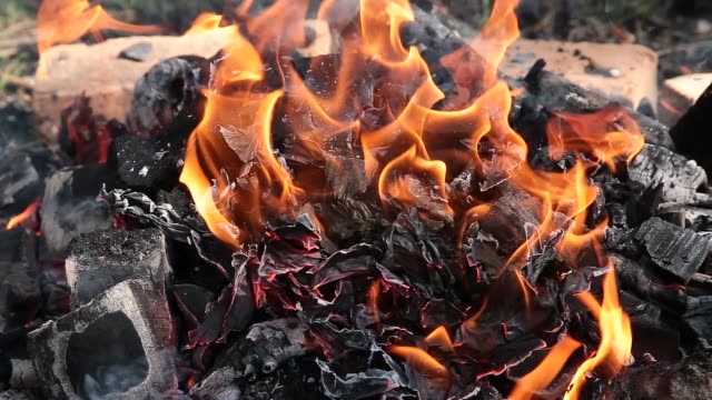 Brennen-in-den-Wald-Lagerfeuer-aus-trockenen-Zweigen