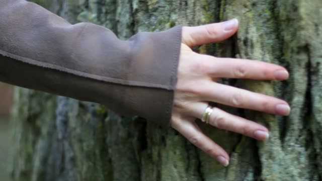 Female-Hand-on-Tree-Trunk-Follow-Shot-Slow-Motion