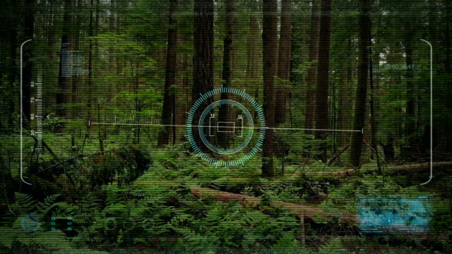 Drone-HUD-POV-Rising-From-Forest-Floor
