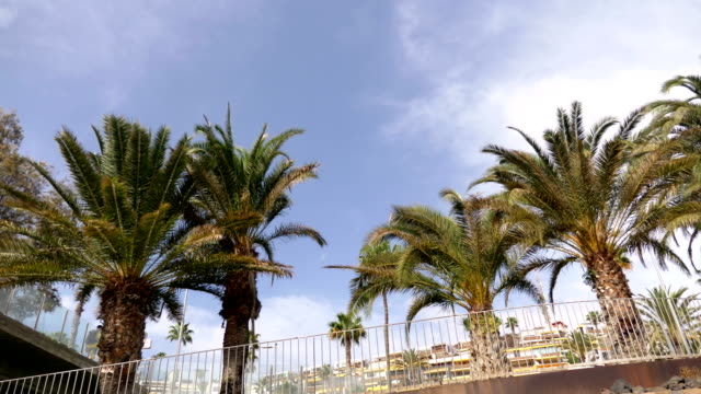 Car-POV-on-Canary-Island-in-4K-slow-motion-60fps