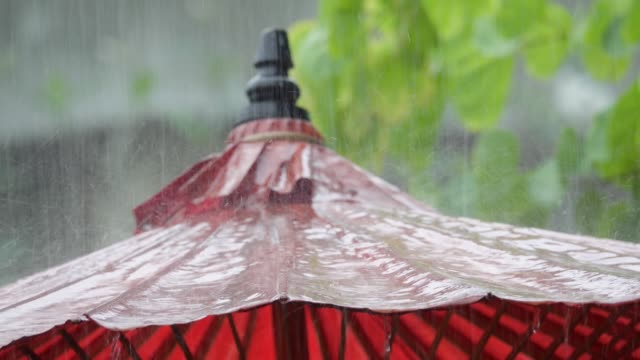 Maulbeere-Schirm,-Kunst-und-Handwerk-Produkt-von-Thailand.