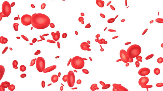 Animación-3D-de-glóbulos-rojos