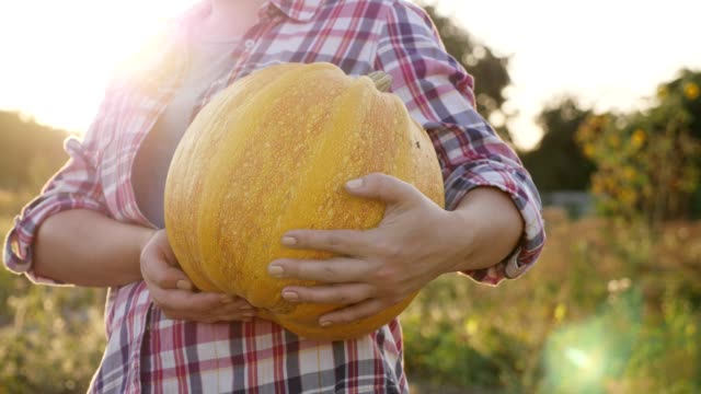 A-woman-is-holding-a-ripe-pumpkin