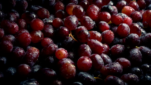 Delicious-Wet-Grapes-Glistening