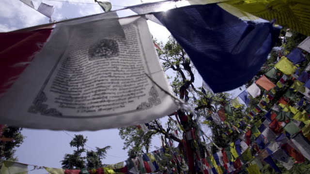 árbol-decorado-con-banderas-budistas