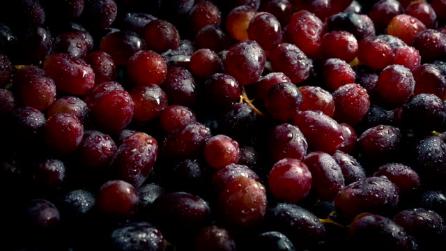 Pasando-deliciosos-uvas-mojadas-brillando