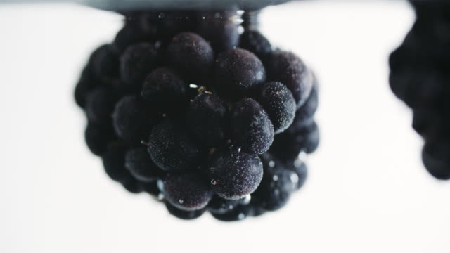 BlackBerry-fruta-bajo-el-agua