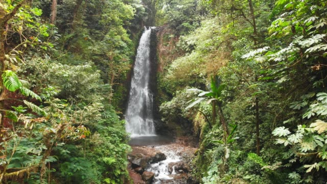 Wasserfall-und-Dschungel-in-Bali,-Indonesien.-Luftaufnahme-des-tropischen-Wasserfall