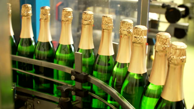 Champagne-bottles-on-factory-conveyor-belt